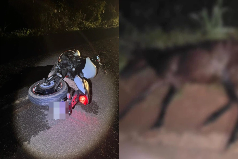 Motociclista morre após colidir contra animal em José de Freitas