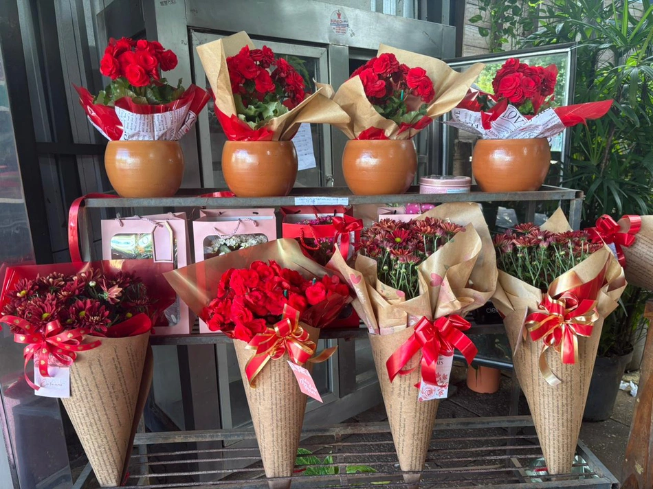 Shopping Natureza