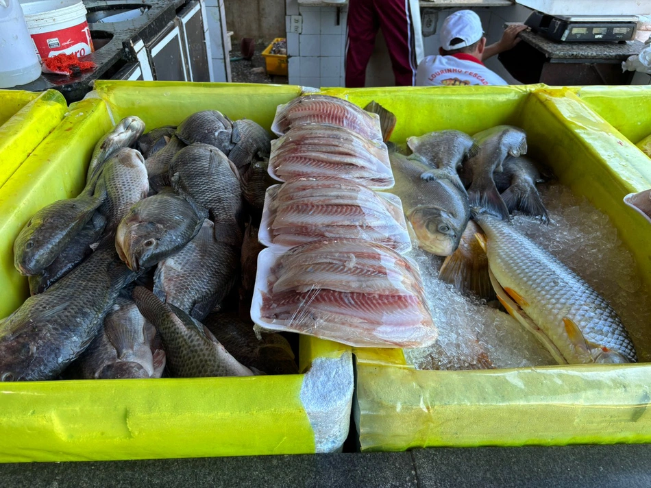 Mercado do Peixe em Teresina