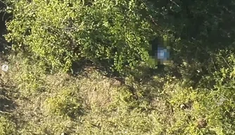 Corpo de idoso é encontrado em matagal na cidade de Altos