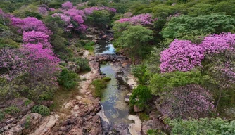 Cânion do Rio Poti