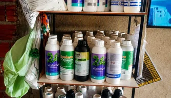 Adapi interdita 124 litros de agrotóxicos vendidos irregularmente