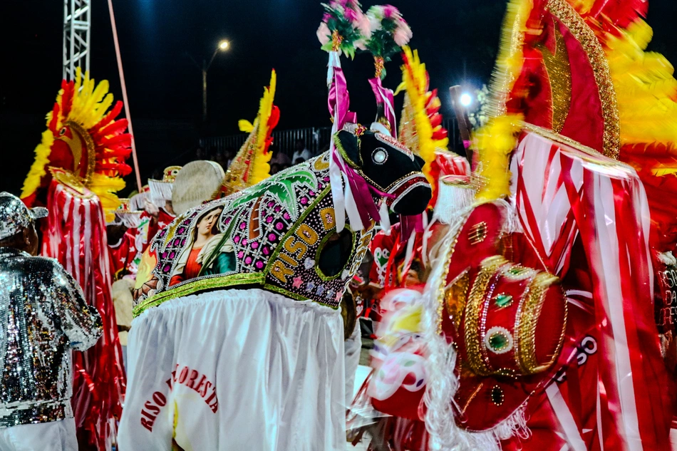 48º Festival de Bois do Piauí
