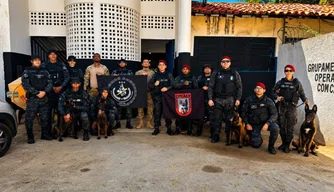Integração entre forças de segurança fortalece atuação de cães farejadores em Teresina