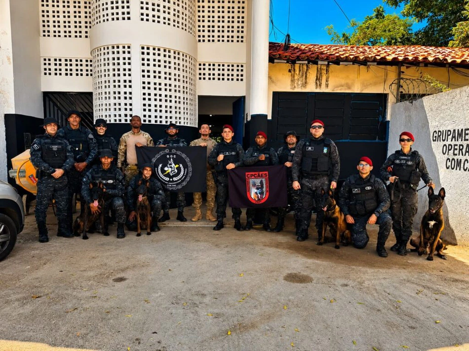 Integração entre forças de segurança fortalece atuação de cães farejadores em Teresina