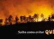 Pacto Piauí Sem Queimadas