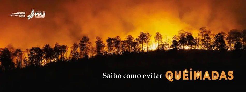 Pacto Piauí Sem Queimadas
