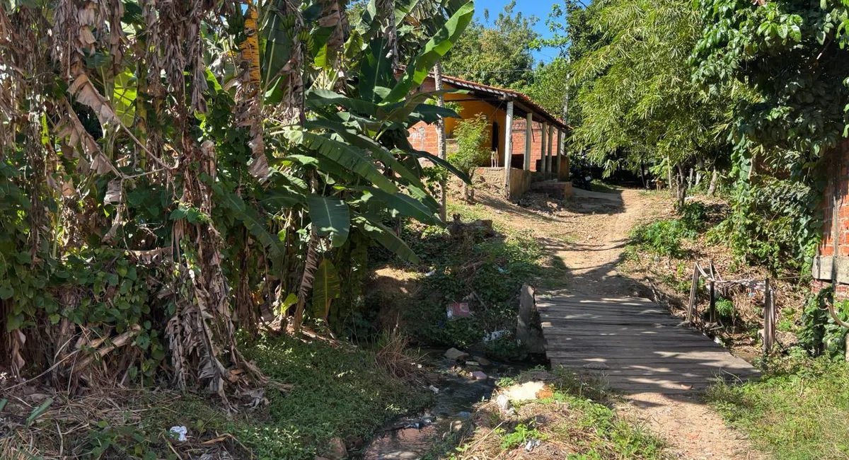 Rua Andradina, Vila Bom Jesus, zona Sul de Teresina