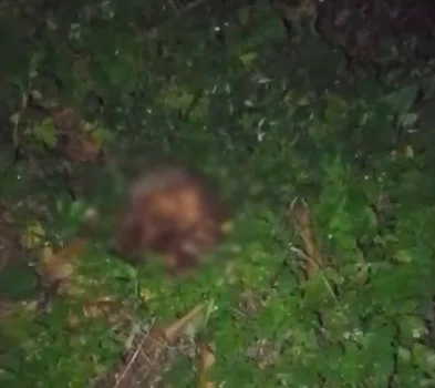 Crânio humano é encontrado em terreno baldio na zona Norte de Teresina