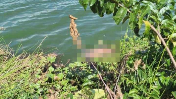 Corpo é encontrado boiando em lago da zona Sul de Teresina