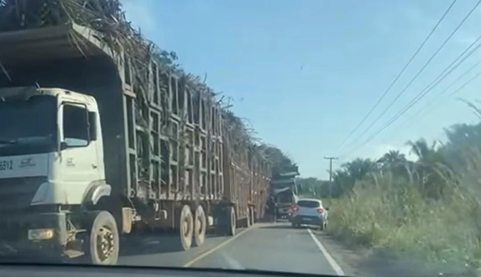 Colisão entre caminhões carregados com cana