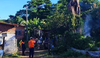 Defesa Civil encerra primeiro semestre de 2026 com 493 atendimentos em Teresina