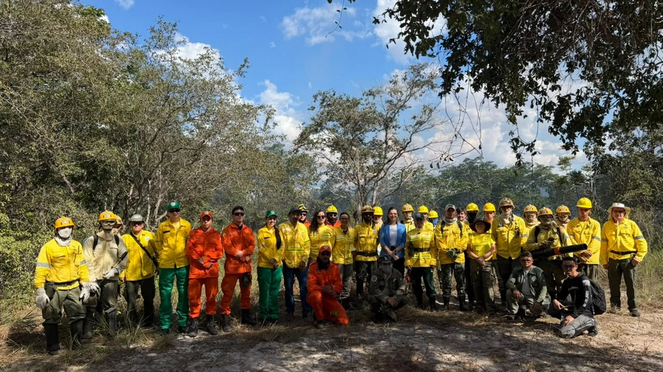 Coordenadora do Caoma/MPPI participa de atividade sobre queima prescrita no Parque Nacional de Sete Cidade