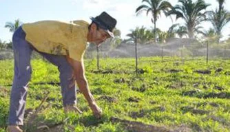 Agricultura Familiar