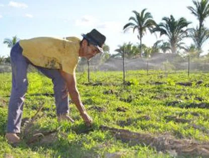 Comissão do Ministério da Economia aprova projeto de investimento no Piauí