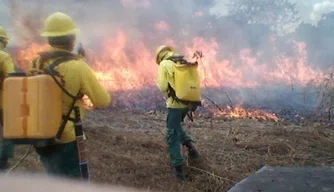 Imagem cedida pelo Ibama mostra os brigadistas tentando apagar as chamas