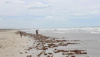 Na praia de Atalaia o movimento ainda é pouco mesmo com a alta estação