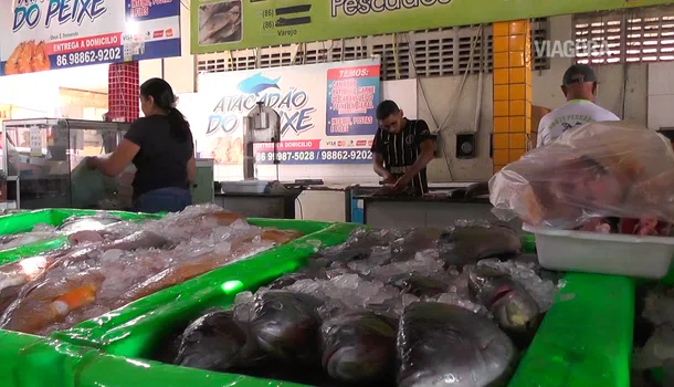 Mercado do Peixe é referência na comercialização de pescados em Teresina