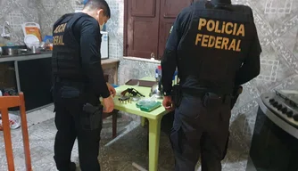 PF deflagra Operação Dionísio II contra no Piauí