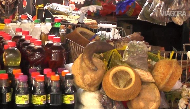 Plantas medicinais tem grande procura no Mercado Central de Teresina